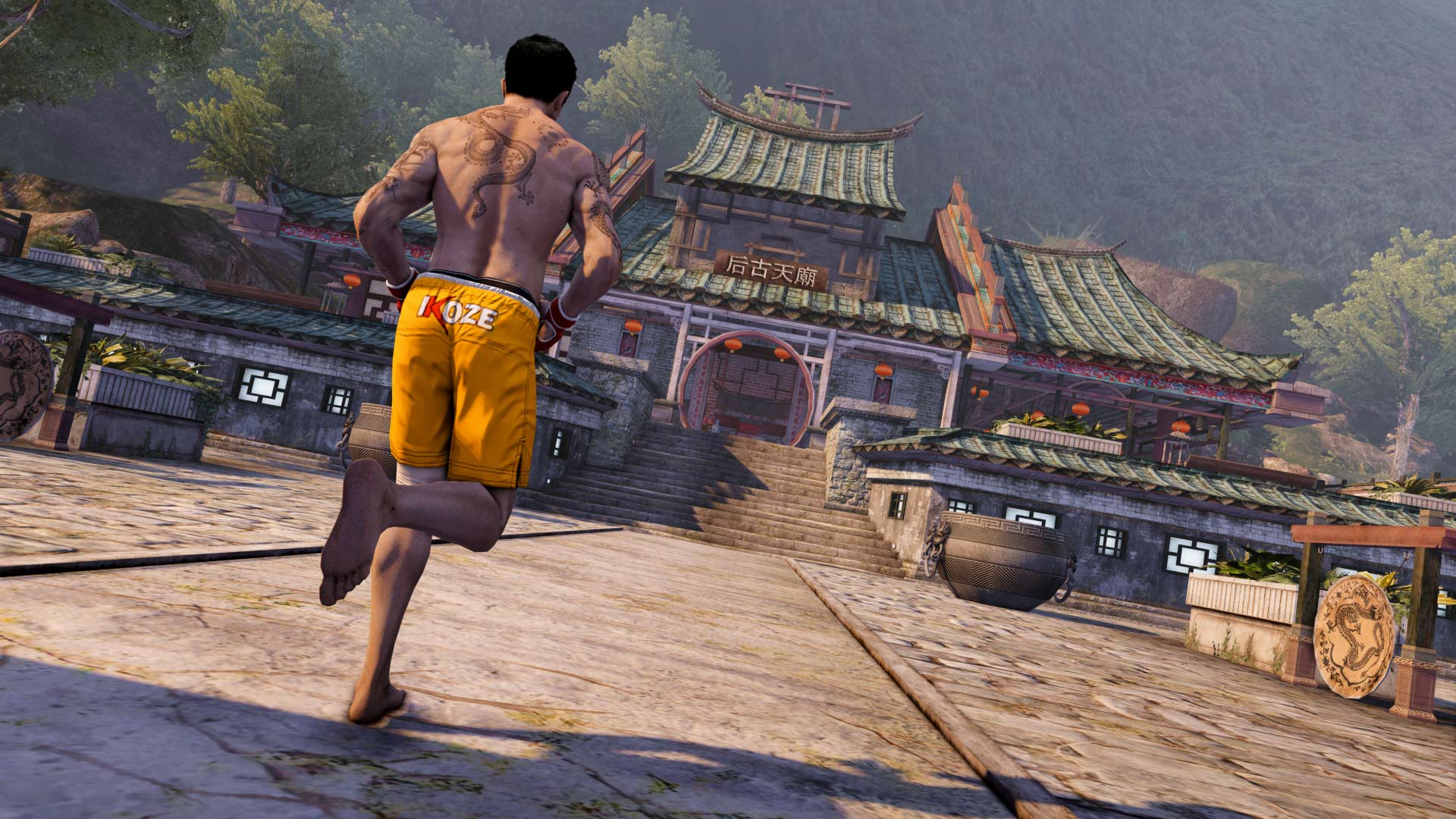 Sleeping Dogs™ Definitive Edition 制品版 (中韩文版)