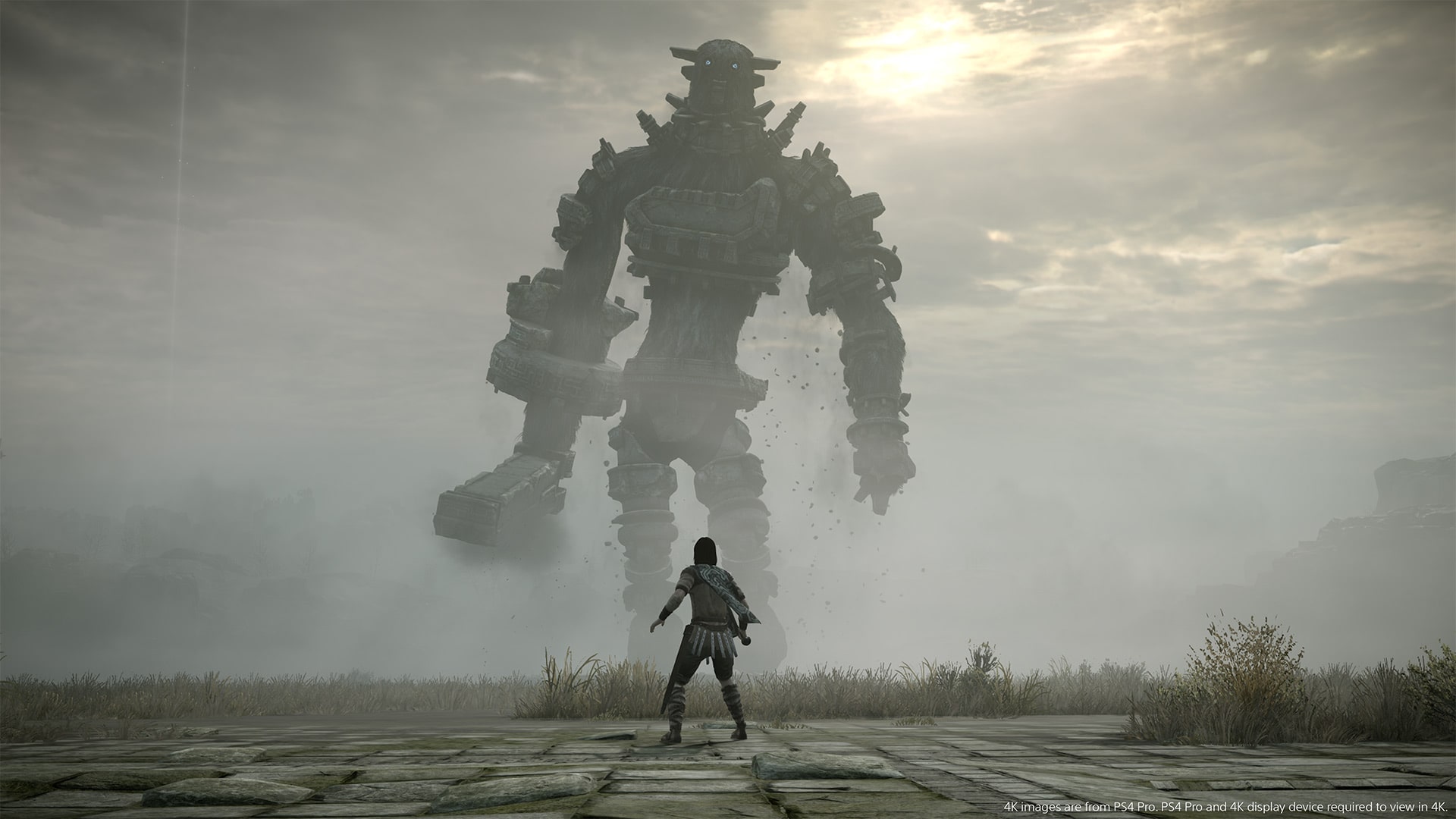 SHADOW OF THE COLOSSUS