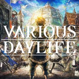 VARIOUS DAYLIFE
